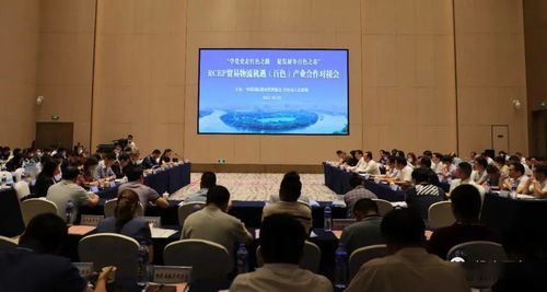 對接RCEP新機(jī)遇，共謀貿(mào)易物流新篇章——中國國際貨運(yùn)代理協(xié)會(huì)考察團(tuán)赴我市開展產(chǎn)業(yè)合作對接