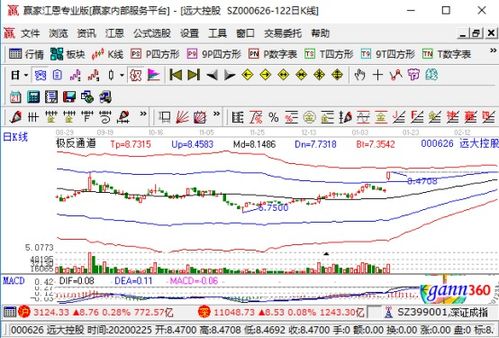 遠(yuǎn)達(dá)控股強(qiáng)勢漲停，業(yè)績大幅預(yù)增與國內(nèi)貿(mào)易代理業(yè)務(wù)成關(guān)鍵驅(qū)動(dòng)力